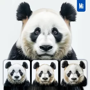 Midjourney Prompt Panda Head Face Front Photography