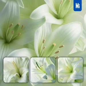 Midjourney Prompt Green Lily Flowers Petals Close Up Art Beauty Photography