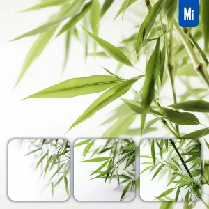 Midjourney Prompt Bamboo Leaves Leaf Green