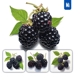 Midjourney Prompt Blackberry Leaves Illustration Painting