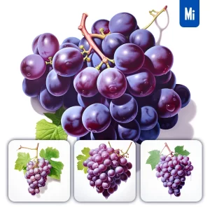 Midjourney Prompt Bunch Grapes Leaf Illustration Painting
