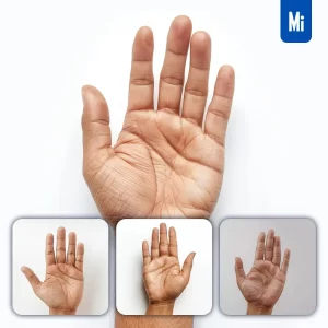Midjourney Prompt Hand Palm Man Human Photography
