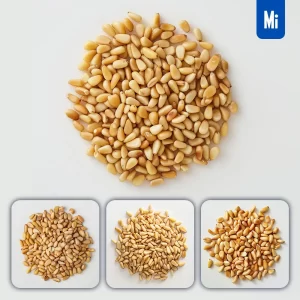 Midjourney Prompt Pine Nut Nuts Pile Rounded Photography