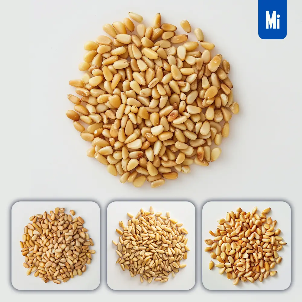 Midjourney Prompt Pine Nut Nuts Pile Rounded Photography
