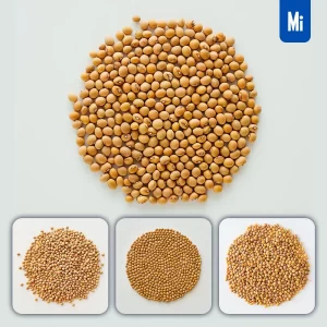 Midjourney Prompt Soybeans Pile Soybean Rounded Photography