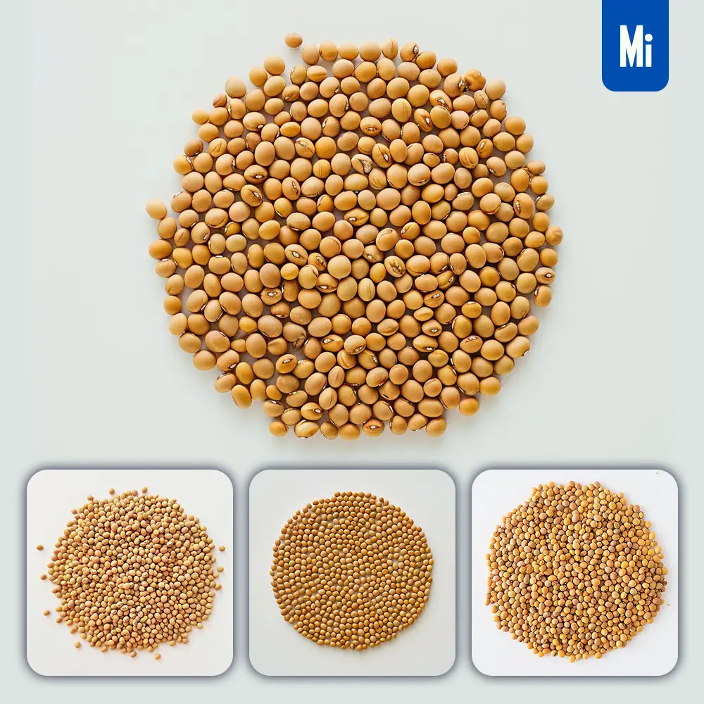 Midjourney Prompt Soybeans Pile Soybean Rounded Photography
