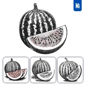 Midjourney Prompt Watermelon Woodcut Print Black and White Illustration
