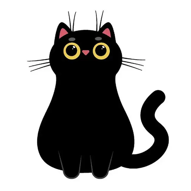 20 Cat Description Keywords for Midjourney Prompts