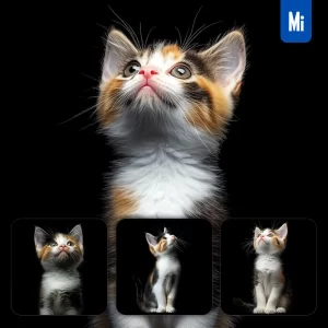 Midjourney Prompt Japanese Bobtail Cat Kitten Head Face Front Look Up Portrait Photography