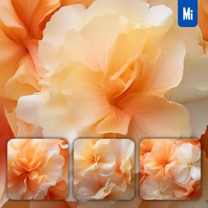 Midjourney Prompt Begonias Orange Flower Petals Close Up Art Beauty Photography
