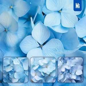 Midjourney Prompt Hydrangeas Blue Flower Petals Close Up Art Beauty Photography