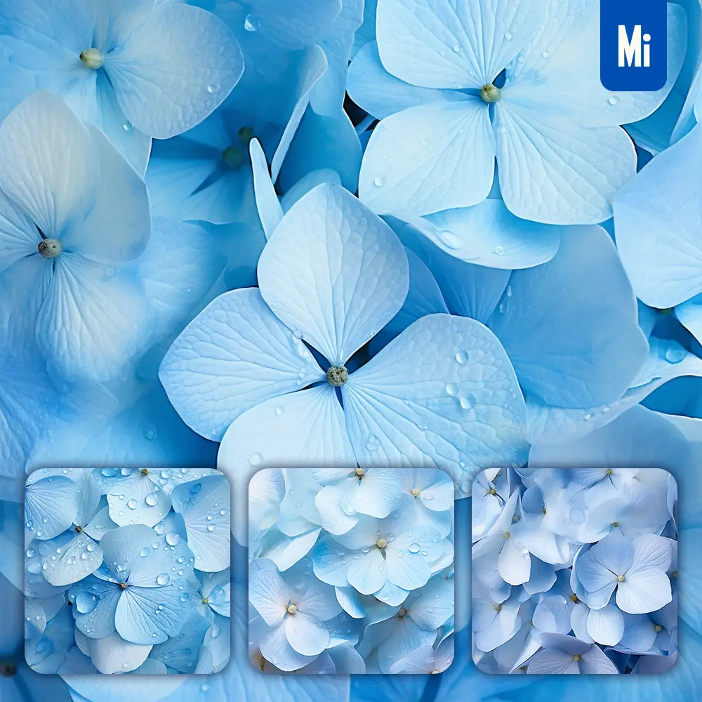 Midjourney Prompt Hydrangeas Blue Flower Petals Close Up Art Beauty Photography