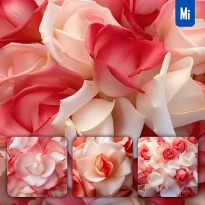 Midjourney Prompt Red Rose Flowers Petals Close Up Art Beauty Photography