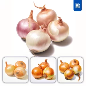 Midjourney Prompt Onion Vegetable Detailed Illustration Painting