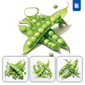 Midjourney Prompt Pea Vegetable Detailed Illustration Painting
