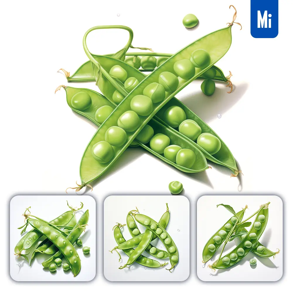 Midjourney Prompt Pea Vegetable Detailed Illustration Painting