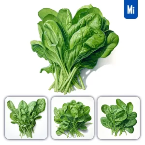 Midjourney Prompt Spinach Vegetable Detailed Illustration Painting
