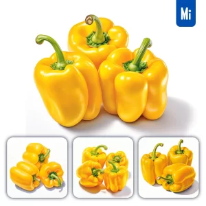 Midjourney Prompt Yellow Bell Pepper Vegetable Detailed Illustration Painting