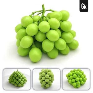 Grok Prompt Bunch Green Grapes 3D Rendering Icon Cartoon Simple Model Fruit