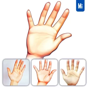 Midjourney Prompt Hand Palm Drawing Illustration Animation
