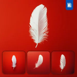 Midjourney Prompt Single White Feather Float Red Photography